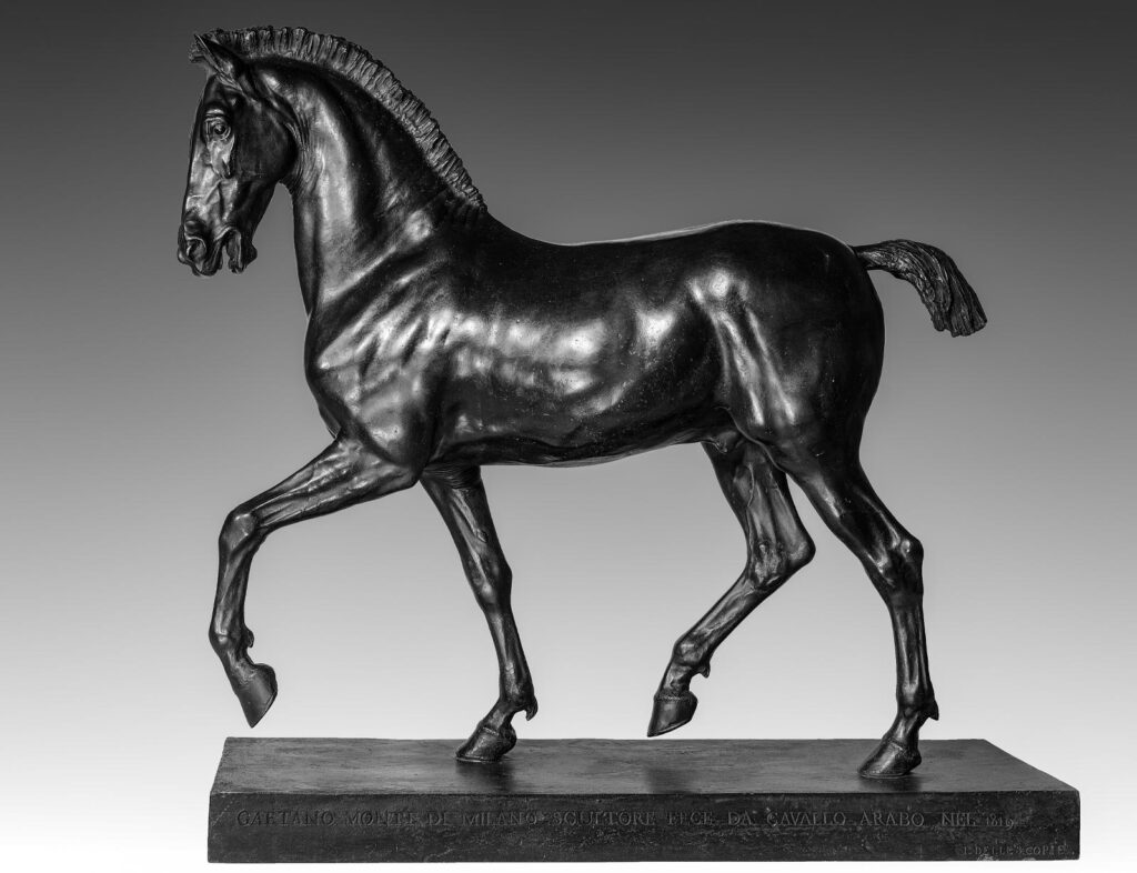 Gaetano Monti (1751–1827), ” Cavallo arabo”  (1819). Firenze, Massimo Tettamanti