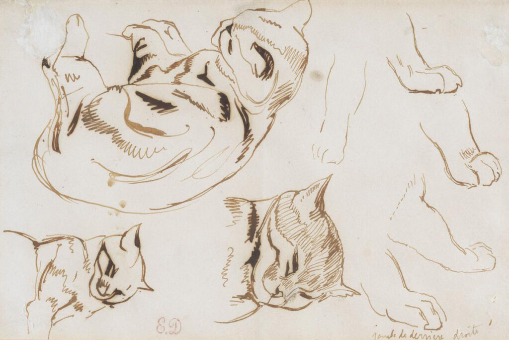 Eugène Delacroix (Charenton-Saint-Maurice, 1798 – Parigi, 1863), “Studi di gatti”. Roma, Galleria Paolo Antonacci.